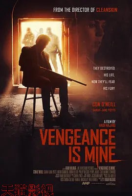 我的复仇